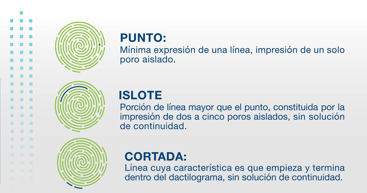 iisraa's tweet photo. Las huellas dactilares son una herramienta fundamental en la autenticación de identidades e incluso para la identificación de personas. De hecho,  en México se han identificado 6 mil 961 personas sin vida cotejando su huella dactilar en la base de datos biométricos del INE. https://t.co/kffgMkJ5jj