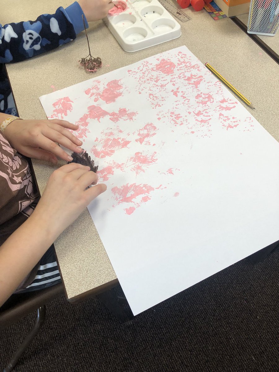 Bronte Class used found natural objects to create textures and patterns in art today. It was fun just to explore and experiment with the flowers heads, grasses and autumn leaves from our lovely grounds.