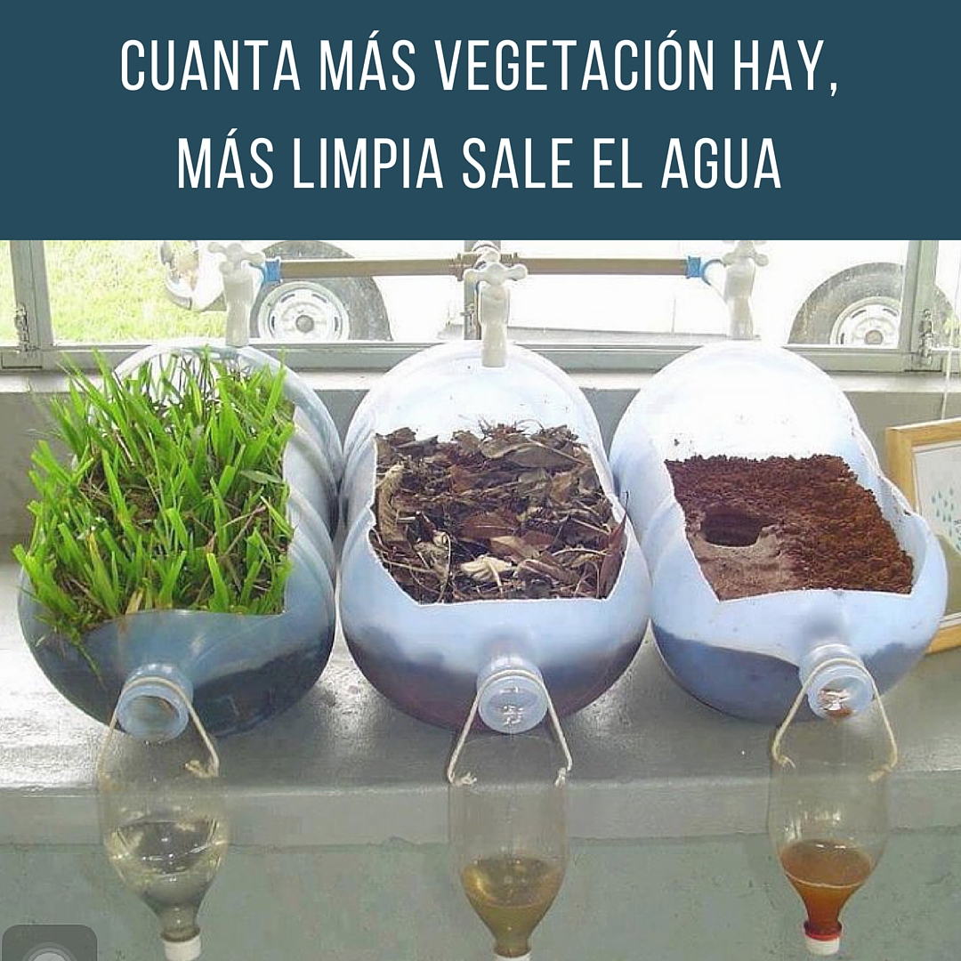 EcoInventos's tweet photo. Cuanta más vegetación hay, más limpia sale el agua. https://t.co/mwFk5GBRdz
