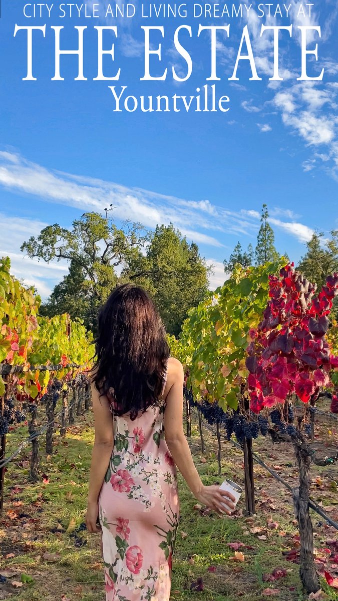 instagram.com/reel/CzmlRMlvs…
<a href="/TheEstateNV/">The Estate Yountville</a> <a href="/VisitNapaValley/">Visit Napa Valley</a> <a href="/YountvilleCA/">Yountville Chamber</a> <a href="/NapaValleyAloft/">Napa Valley Aloft</a>