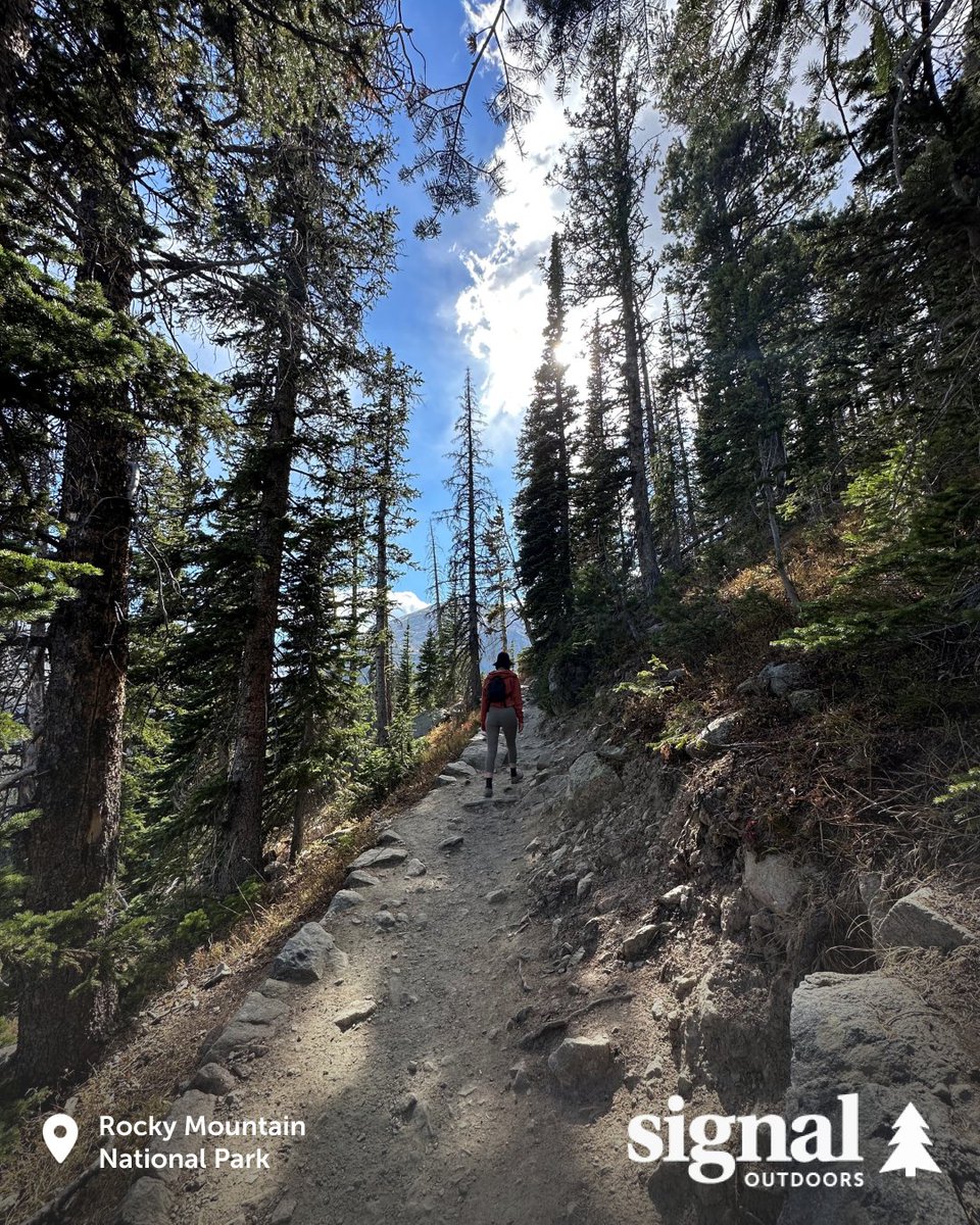 Happy #NationalTakeAHikeDay from Signal Outdoors! If you plan on getting outside and enjoying the trails this weekend, remember these important tips:

🥾Wear proper gear
💧 Stay hydrated
⛰️ Leave no trace
🗺️ Stay on marked trails

Happy hiking!

#outdoors #hiking #publiclands