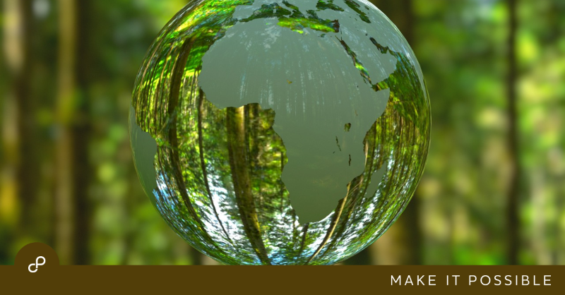 PalladiumImpact's tweet photo. Last month, David Grimaud took the helm as CEO of @BambooCP, Palladium's asset management business. In this profile on @news_impinv, David shares his vision for developing a platform of investment vehicles to push each #SDG to scale.