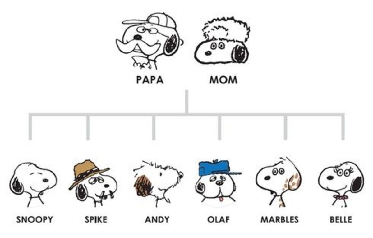 today I found out that Snoopy’s family is basically the Tenenbaums