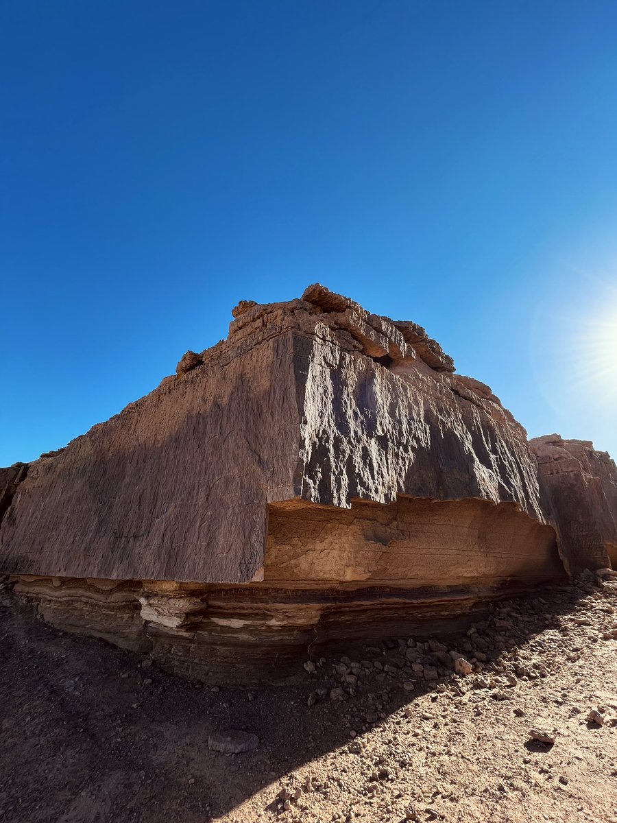 نــَـدى tweet media