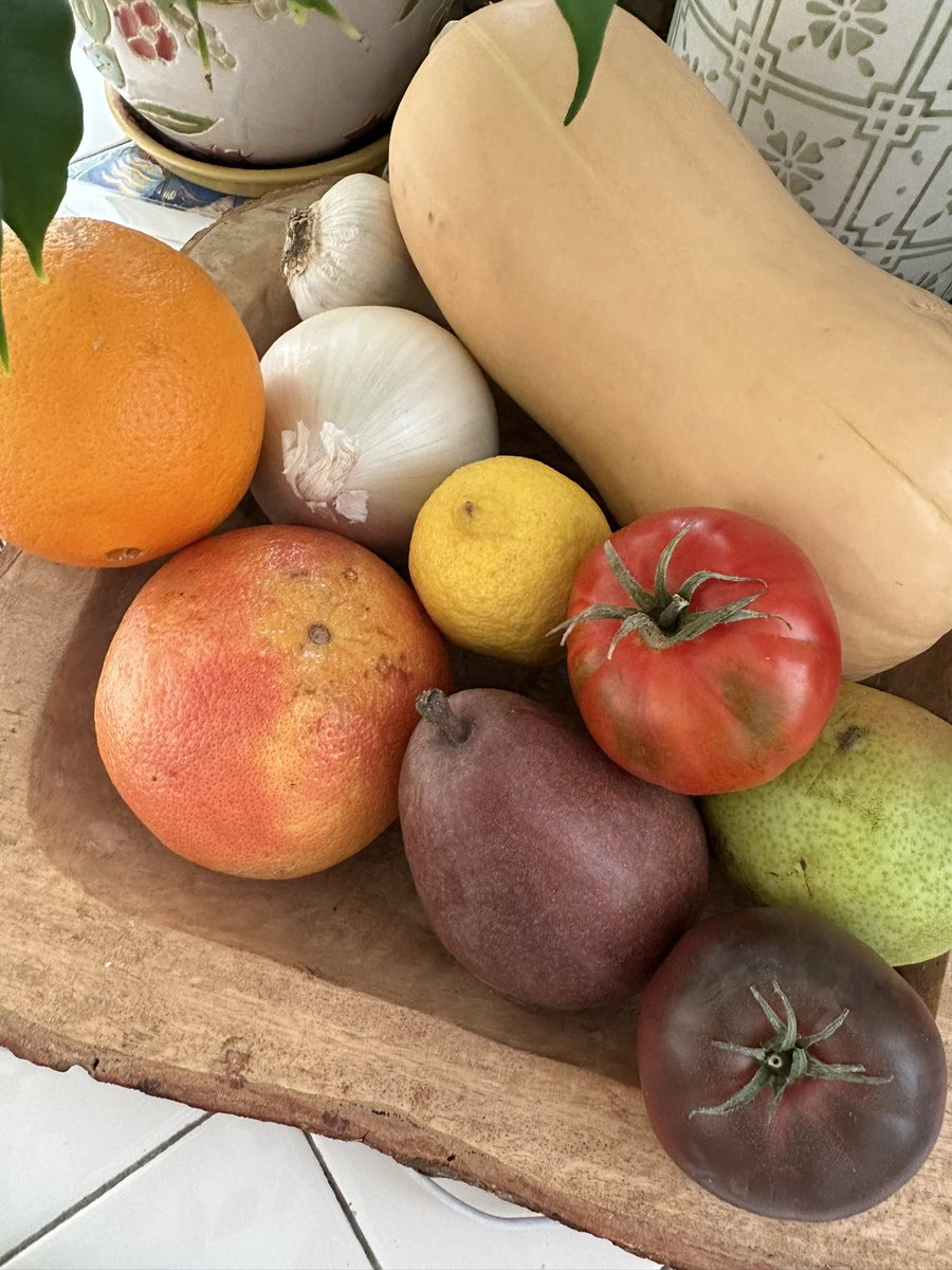 daAlexandraCase's tweet image. I’d say it’s the little things in life, but it’s really the vegetables things in life that bring me so much joy #eattherainbow