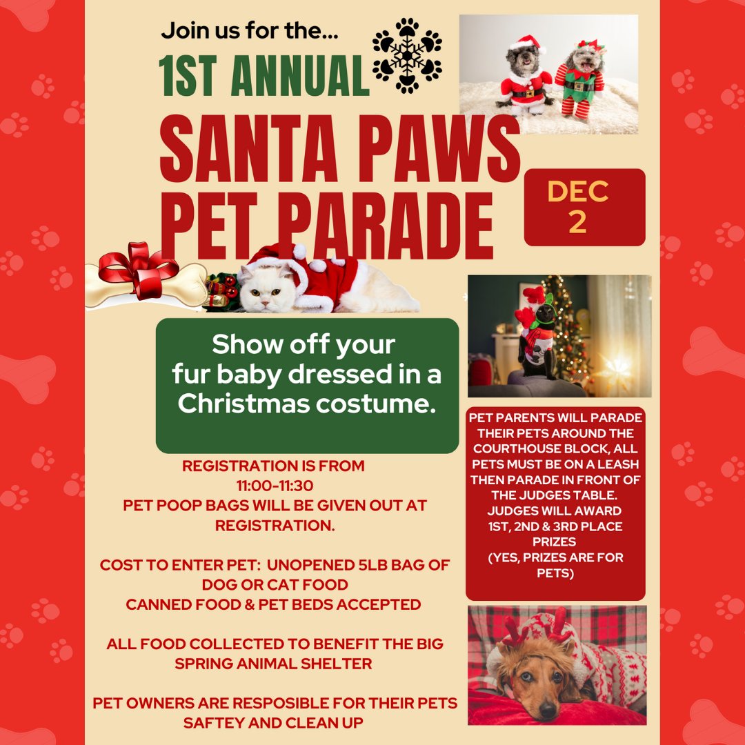 StarFordBigSpr's tweet photo. Is your pet ready to be decked out for the holidays? Better get those Christmas costumes ready for your pet’s chance to win a gift basket loaded with all kinds of toys and treats! 🦴 Special thanks to our judges: Sheriff Stan Parker, Mayor Bob Moore &amp; County Judge Randy Johnson! https://t.co/5OpIfySyeS
