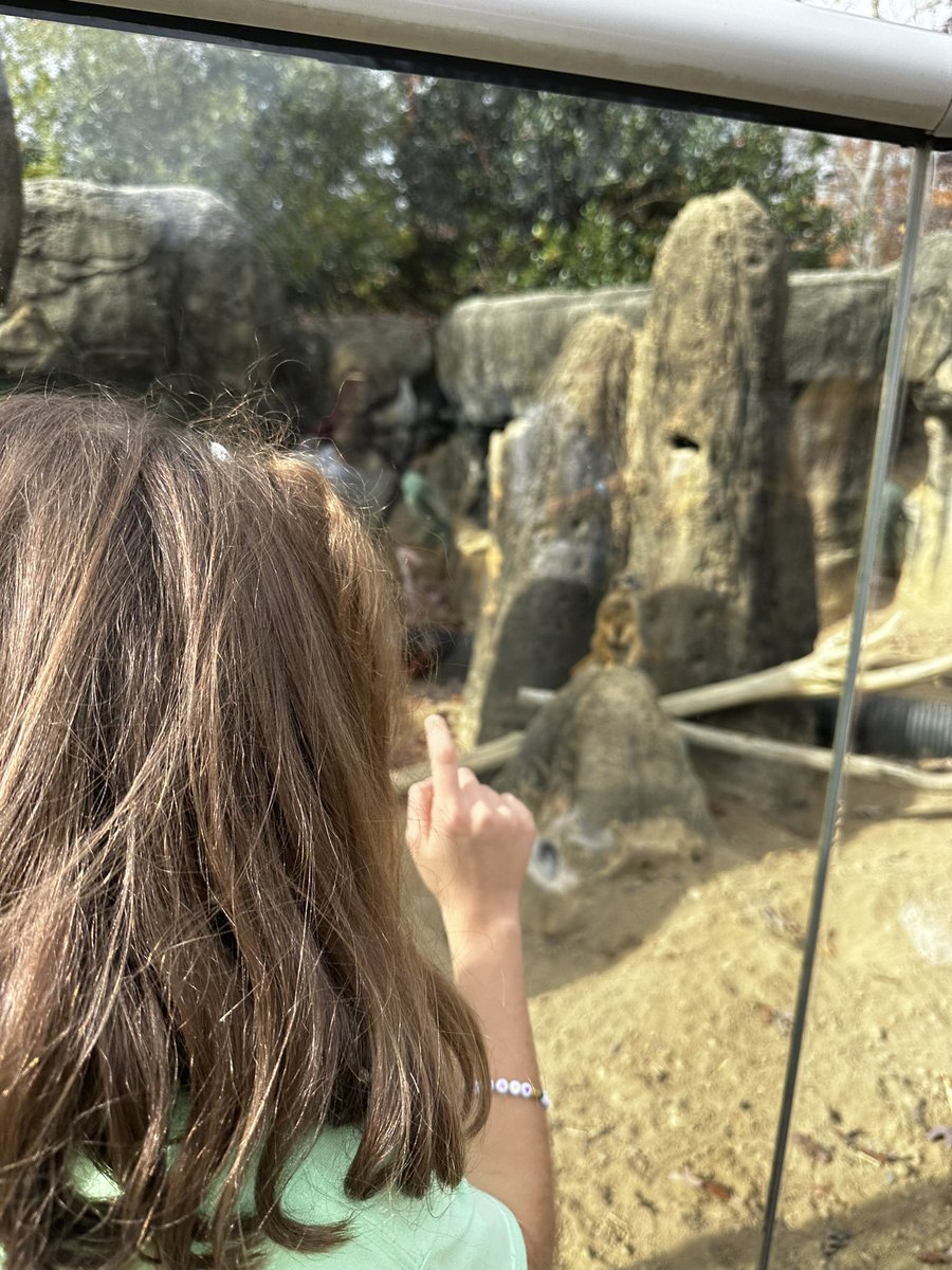 Alex Gleason tweet media