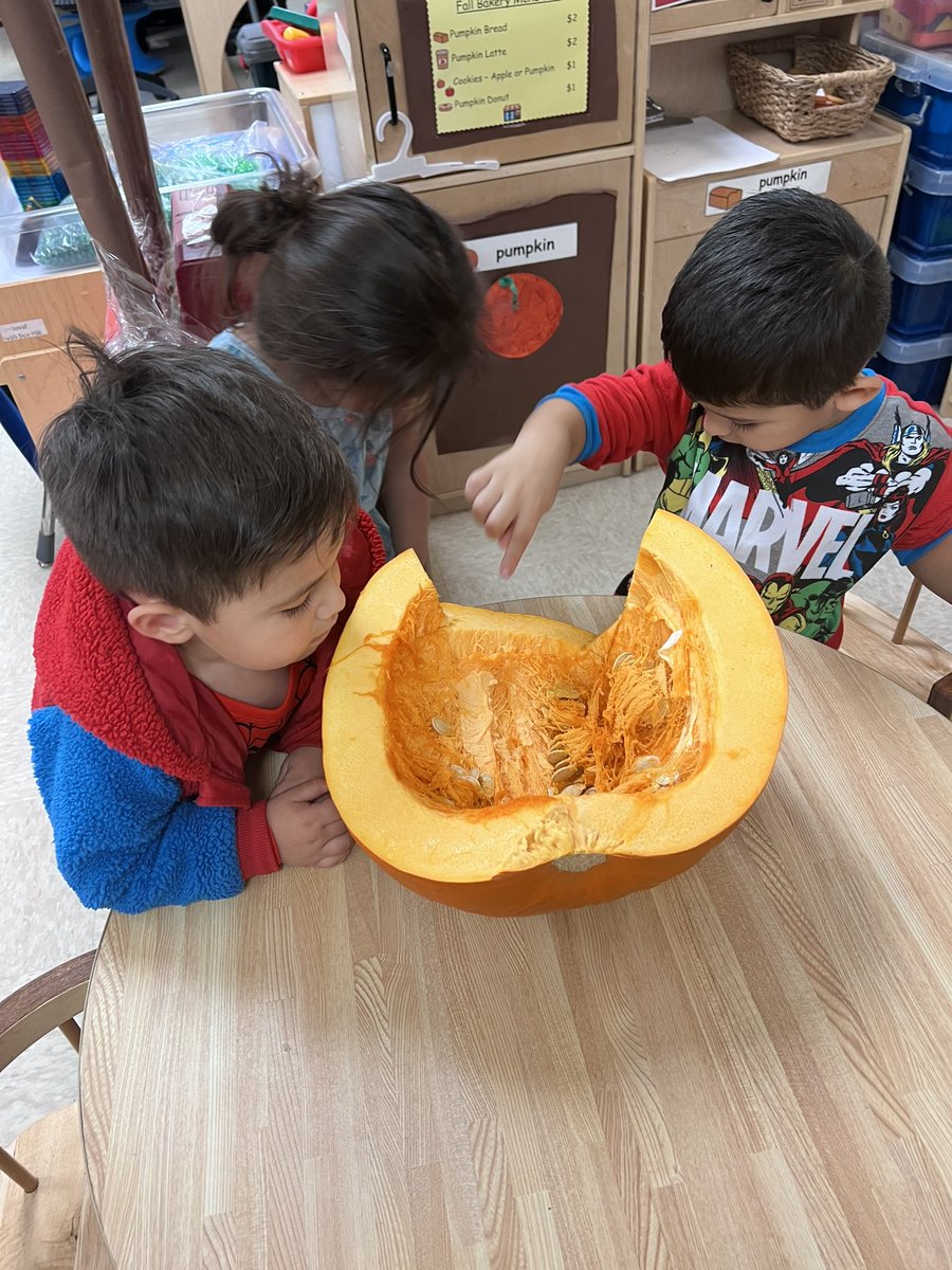 Norma Sandoval tweet media