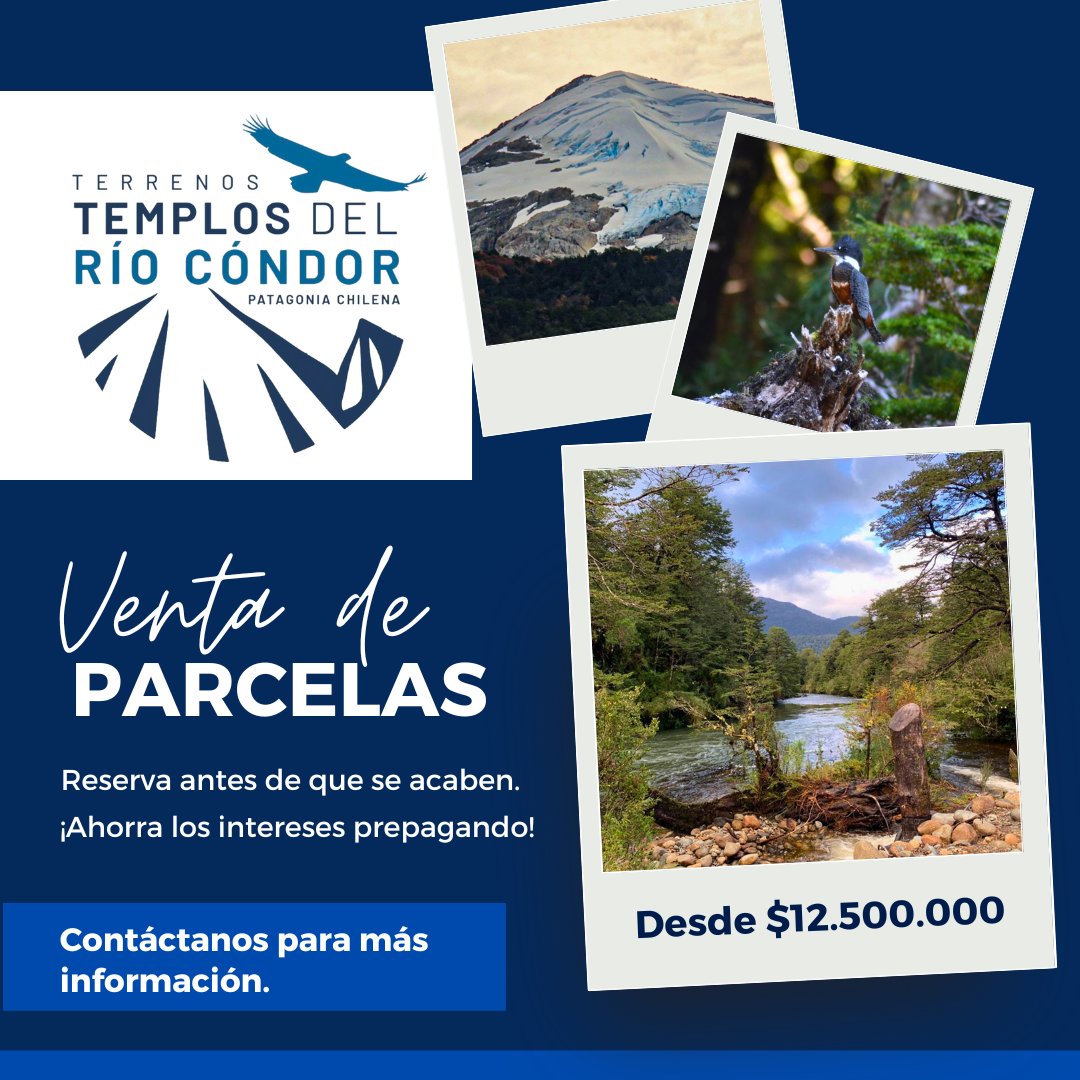 ayp_chile's tweet photo. 😍 Descubre la majestuosidad de los terrenos en la #PatagoniaChilena 🇨🇱, una inversión única en bienes raíces a nivel mundial. 

Su ubicación privilegiada en la hermosa #Patagonia 🌳 ofrece una oportunidad inigualable.

¡Contáctanos para más información! https://t.co/0lMd2rzMFz