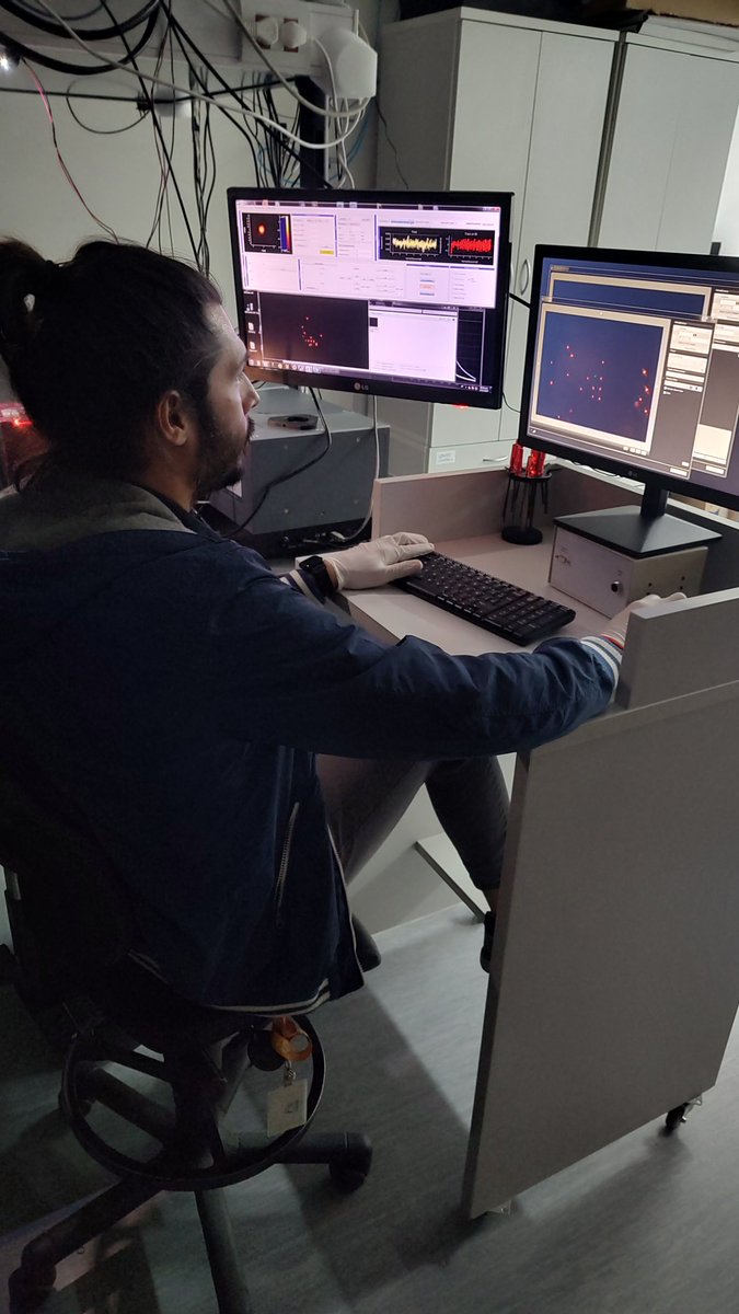 Centro de Investigaciones en Bionanociencias tweet media