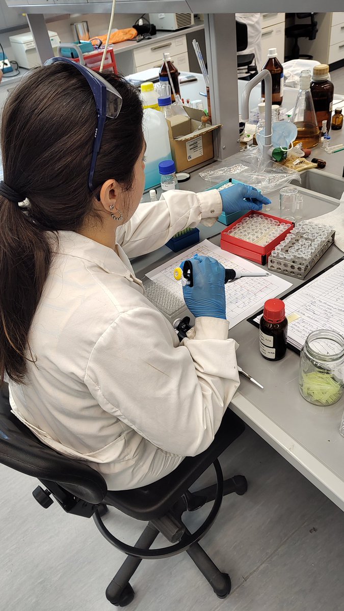 Centro de Investigaciones en Bionanociencias tweet media