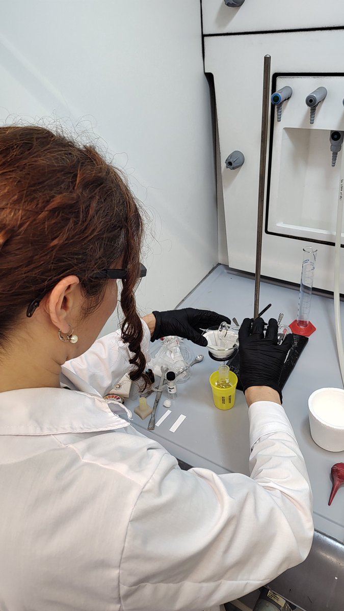 Centro de Investigaciones en Bionanociencias tweet media