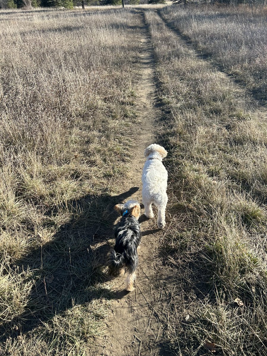 Playing hooky plus 10 #selfemployed 😎