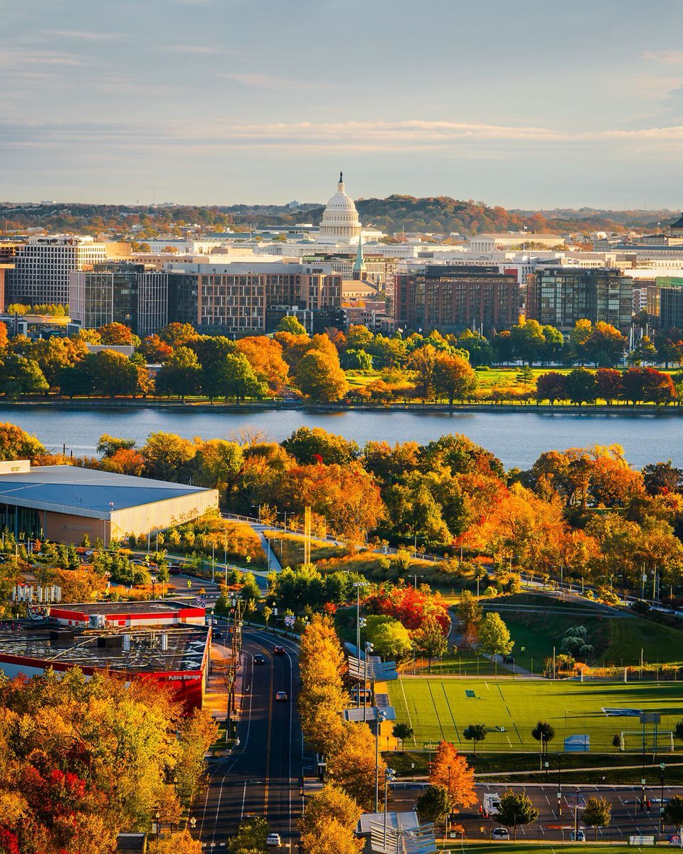 Orange you glad it’s fall? 🍂 😍 📸: IG/ minhp #Only1DC