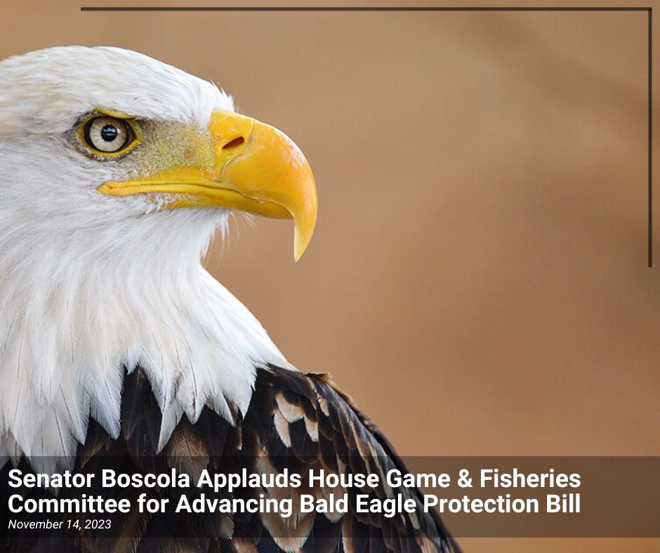 SenLisaBoscola's tweet photo. The favorable passage of #SB709 out of the House Game & Fisheries Committee helps take a significant step forward in protecting bald eagles in PA, establishing stronger penalties for the killing of bald & golden eagles, safeguarding our nation’s symbol. https://t.co/zq0dwrVp9b https://t.co/8r3zTnGYfG