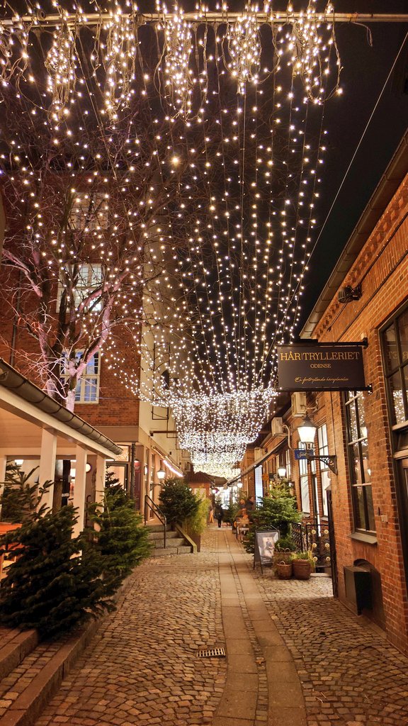 vonnahbisfern's tweet photo. Vintapperstræde Odense 😍🕯️🎄

#vintapperstræde #odense #lichter #lights #odensecity #dänemark #denmark #vintapperstrædeodense #november #christmaslights #christmastree https://t.co/YkgPeasWlL