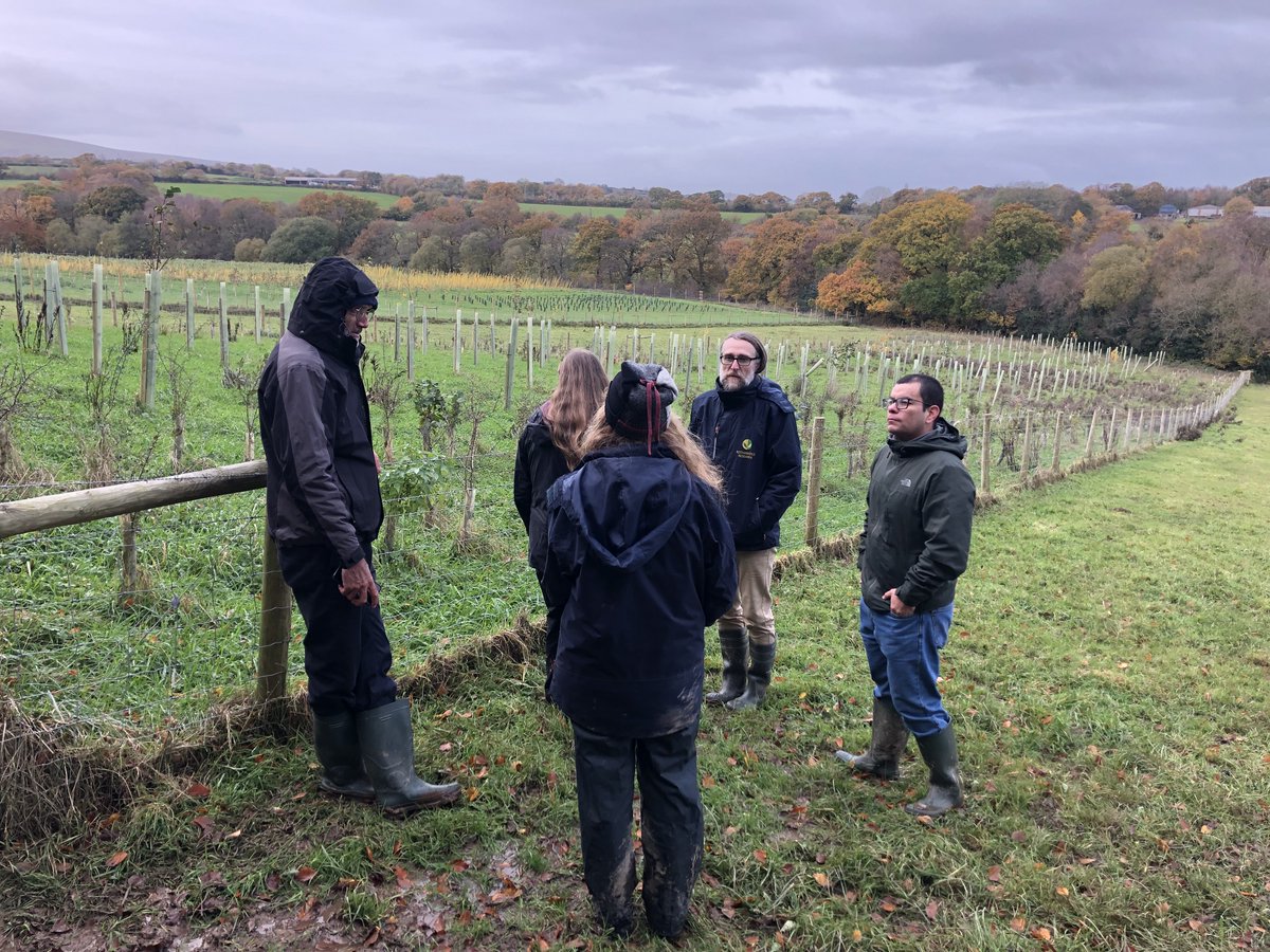 Carmen_Sq's tweet photo. So many fascinating discussions about silvopastoral systems this week thanks to @royalsociety funding. It's amazing how much you can learn from passionate people who share the same interests as you!
@Rothamsted #CIPAV Colombia https://t.co/WR14rS349S