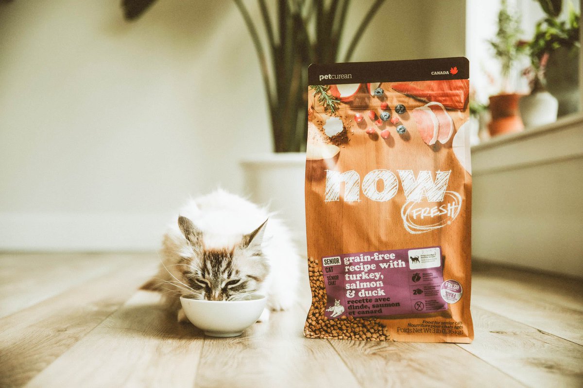 HelloPetsHFX's tweet photo. Did you know NOW FRESH recipe for senior cats is made using fresh meats, fish and nutrient-rich superfoods to provide your cat with perfectly balanced and minimally processed goodness for healthy digestion in old age?

For a limited time get a 3lb NOW FRESH Cat food for $18.99. https://t.co/EhGZT2Z3De