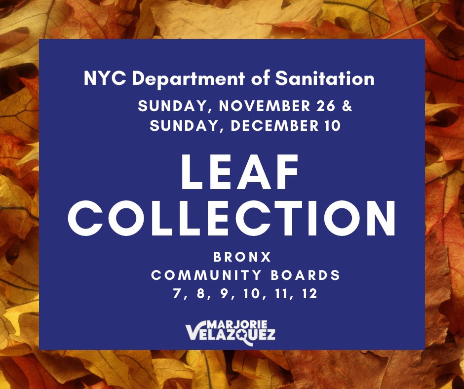 The @NYCSanitation will collect leaves on Sunday, November 26, and Sunday, December 10. Set out your leaves at the curb after 8 PM the night before these days. Place leaf and yard waste in paper lawn and leaf bags, clear plastic bags, or an open, labeled bin.