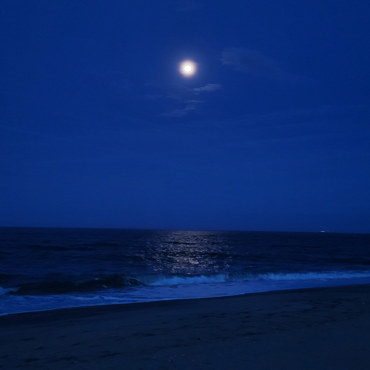 The Full Moon is a week away! Visit our EventBrite page to reserve your spot for our Jamaica Bay and Sandy Hook Full Moon programs! #GatewayNPS eventbrite.com/o/gateway-nati…