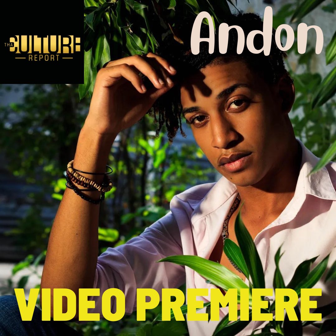 hipvideopromo tweet media