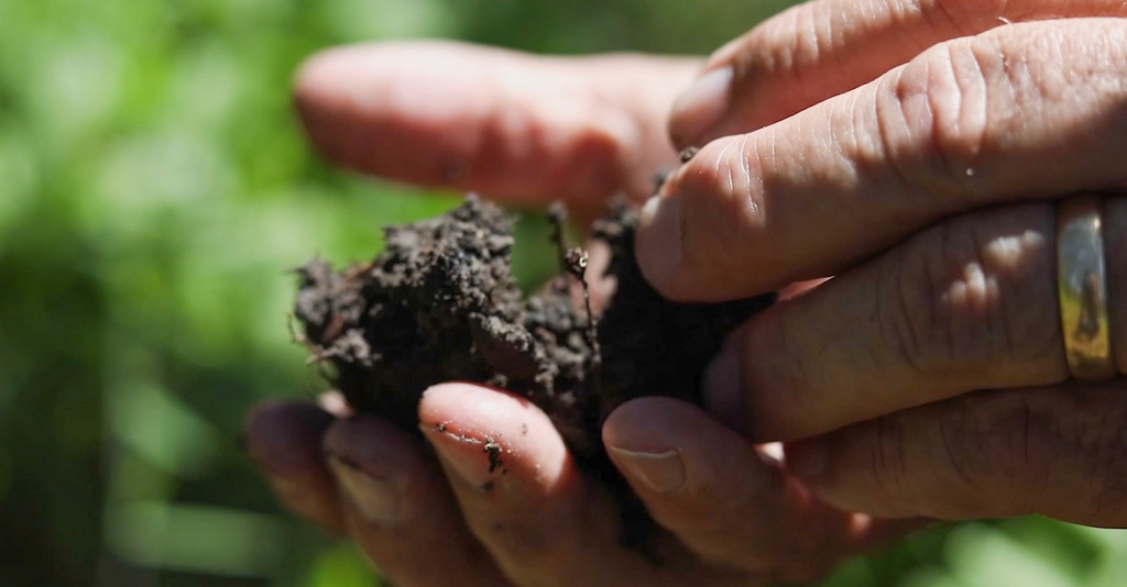 _NatGLC's tweet image. Did you know? Grazing lands, when managed sustainably, are more than just pastures – they're earth's natural heroes. Farmers and ranchers across the nation are taking stewardship to the next level, benefiting both our environment and you, the consumer.