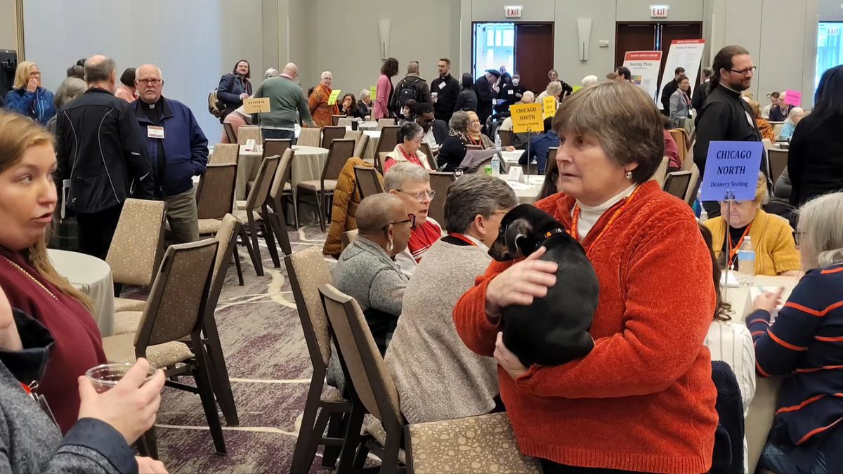 StevenBalke's tweet photo. @diocesechicago Convention in action, including a new puppy's first convention! She is looking for a loving home, so hit me up for details.

#DioChi23 https://t.co/BCli1y2u2P