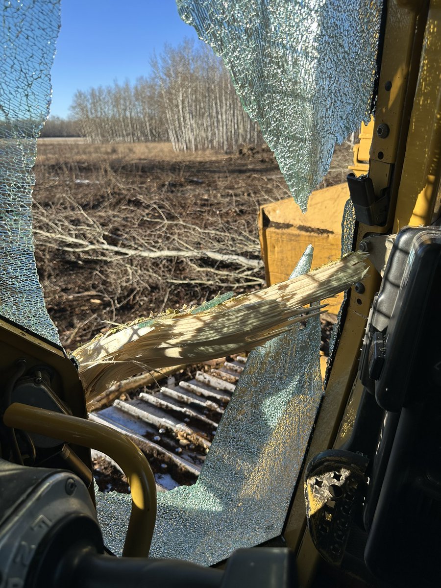 David Olson tweet media