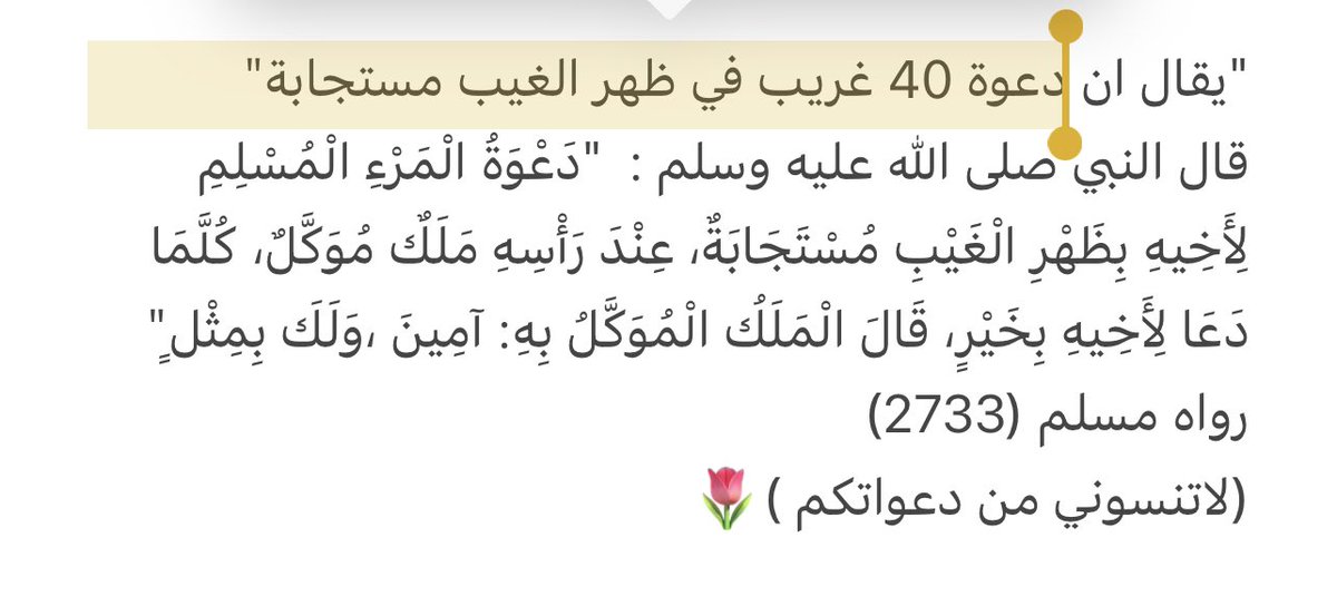 Bintsaid0's tweet photo. اللهُمَّ لا تَرد لَنَا دَعوةً تَمنتها قُلوبُنا 🌷 https://t.co/SJS4oHFmlI