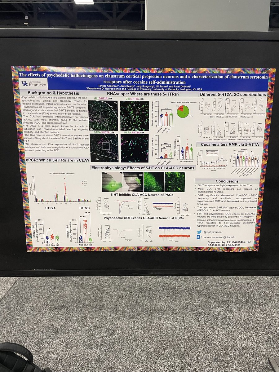 EphysTanner's tweet photo. I had the best time at #SFN2023 
My talk and poster presentations went great, I saw lots of old friends, and I made many new ones too. Can’t wait to see everyone again next year! @SfNtweets https://t.co/Wyugrzrp9t