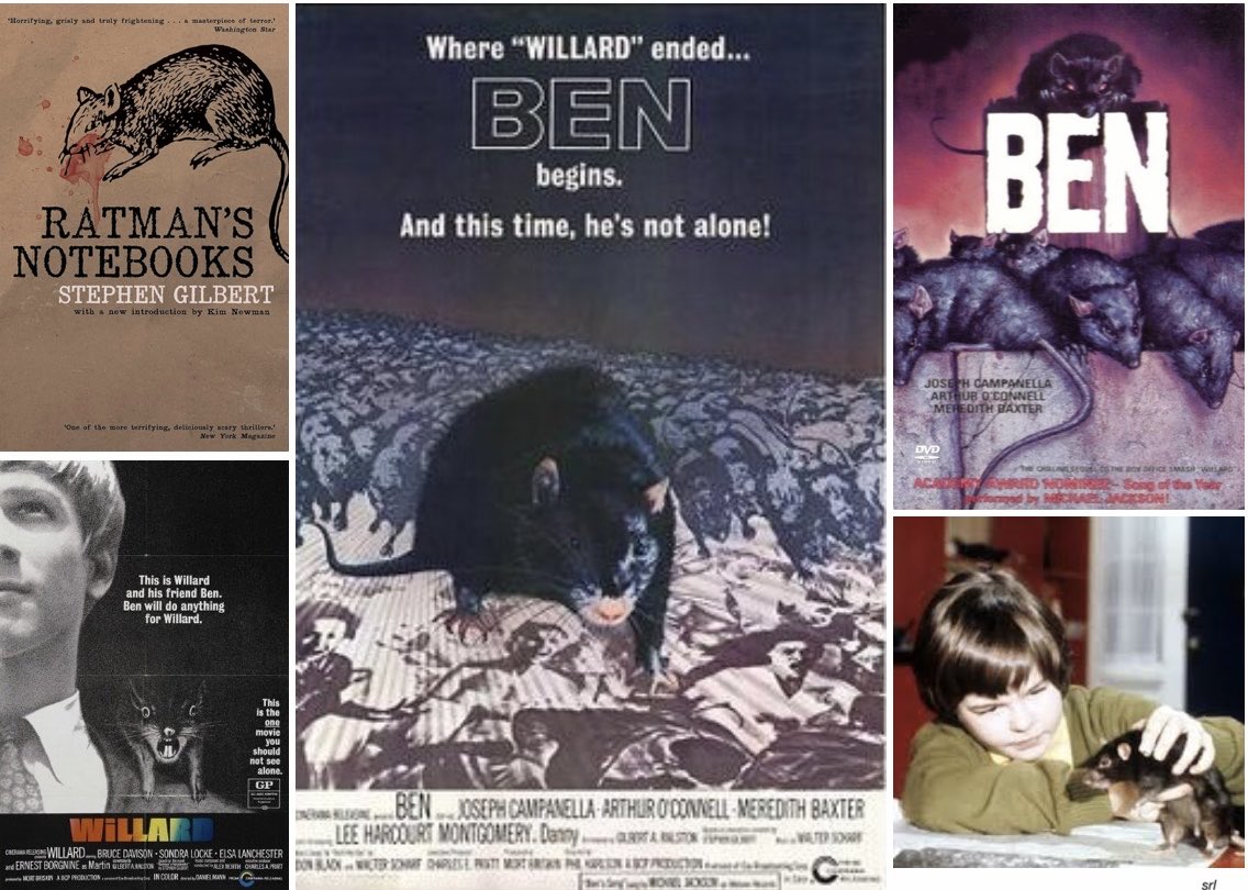 SaveRedlandLibr's tweet photo. 9:05pm TODAY on @TalkingPicsTV
The 1972 #Horror film🎥 “Ben” directed by #PhilKarlson & written by #GilbertRalston
It’s a sequel to the 1971 film🎥 “Willard” based #StephenGilbert’s 1968 novel📖 “Ratman's Notebooks”
🌟#LeeMontgomery #JosephCampanella #ArthurOConnell https://t.co/apVOTyYvmF