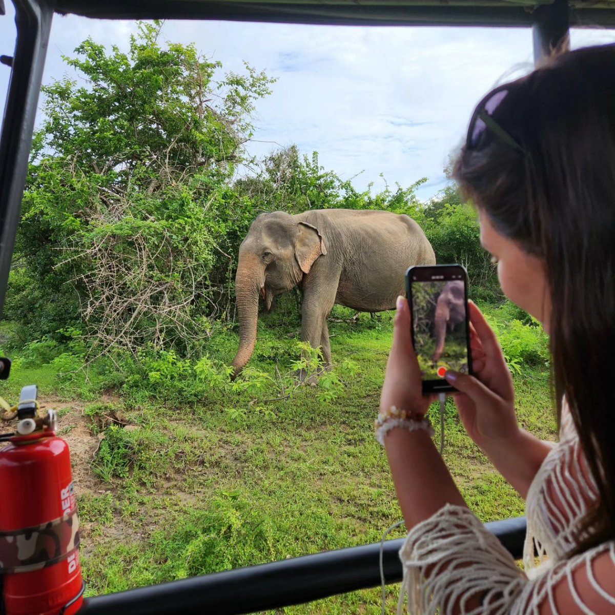 MasroorLK's tweet photo. Yala National Park, located in the southeast of Sri Lanka, is renowned for its diverse wildlife and picturesque landscapes. Home to a variety of ecosystems, the park is a haven for nature enthusiasts. One of its major attractions is the thriving population of Sri Lankan leopards. https://t.co/cIhOdufG7W