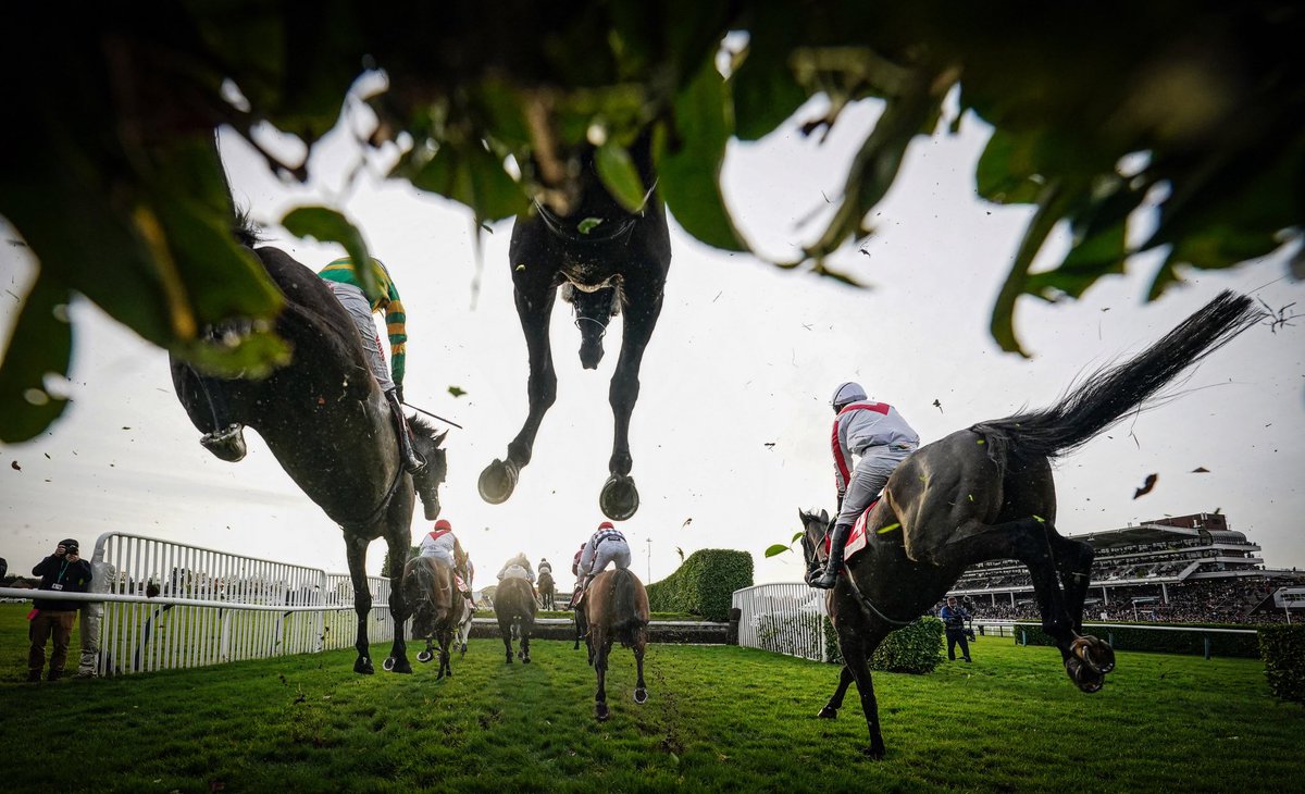 Through the hedge on the Cross Country during the November Meeting at Cheltenham. #NovemberMeeting