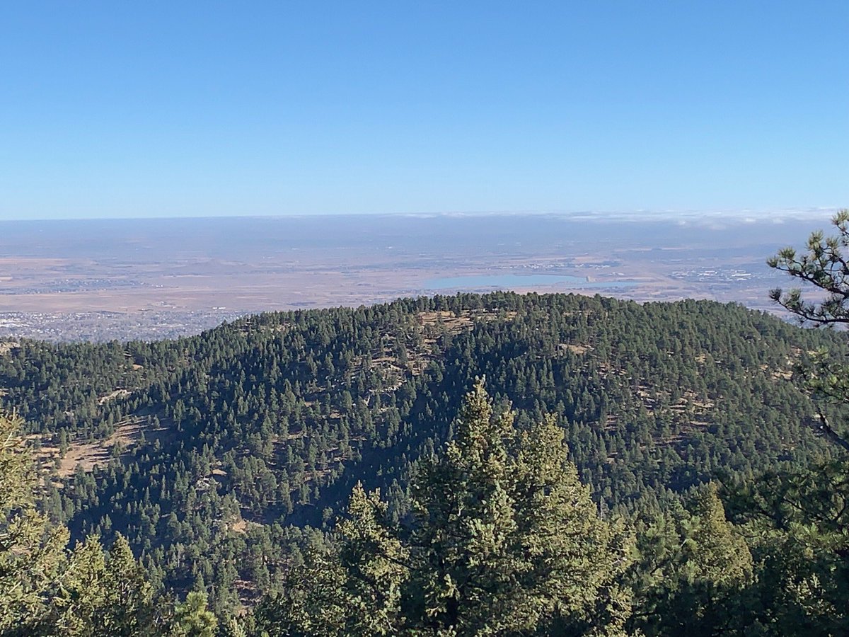 Joe 🎙 tweet media