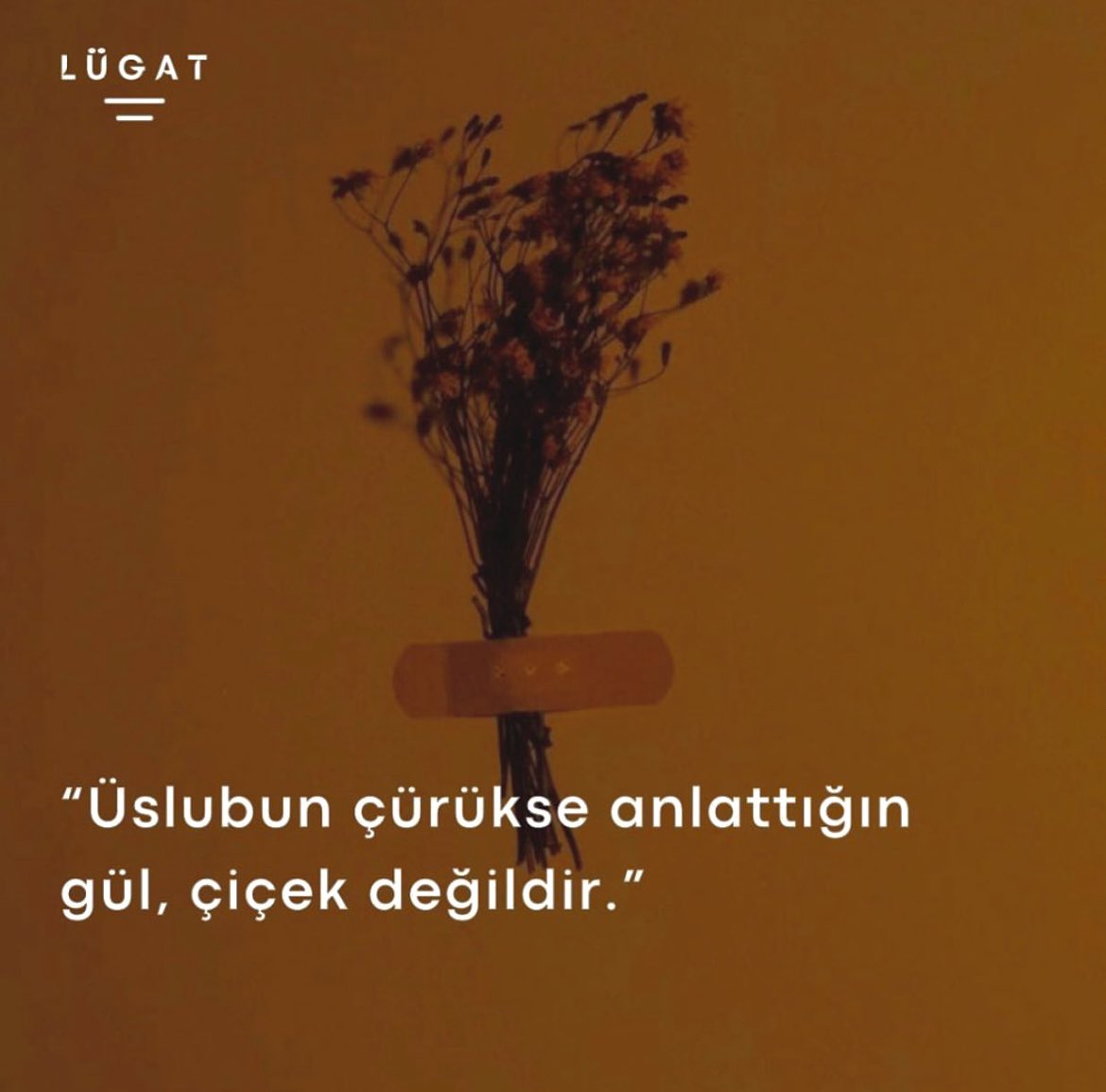 Lügat (@lugatsokagi) on Twitter photo 