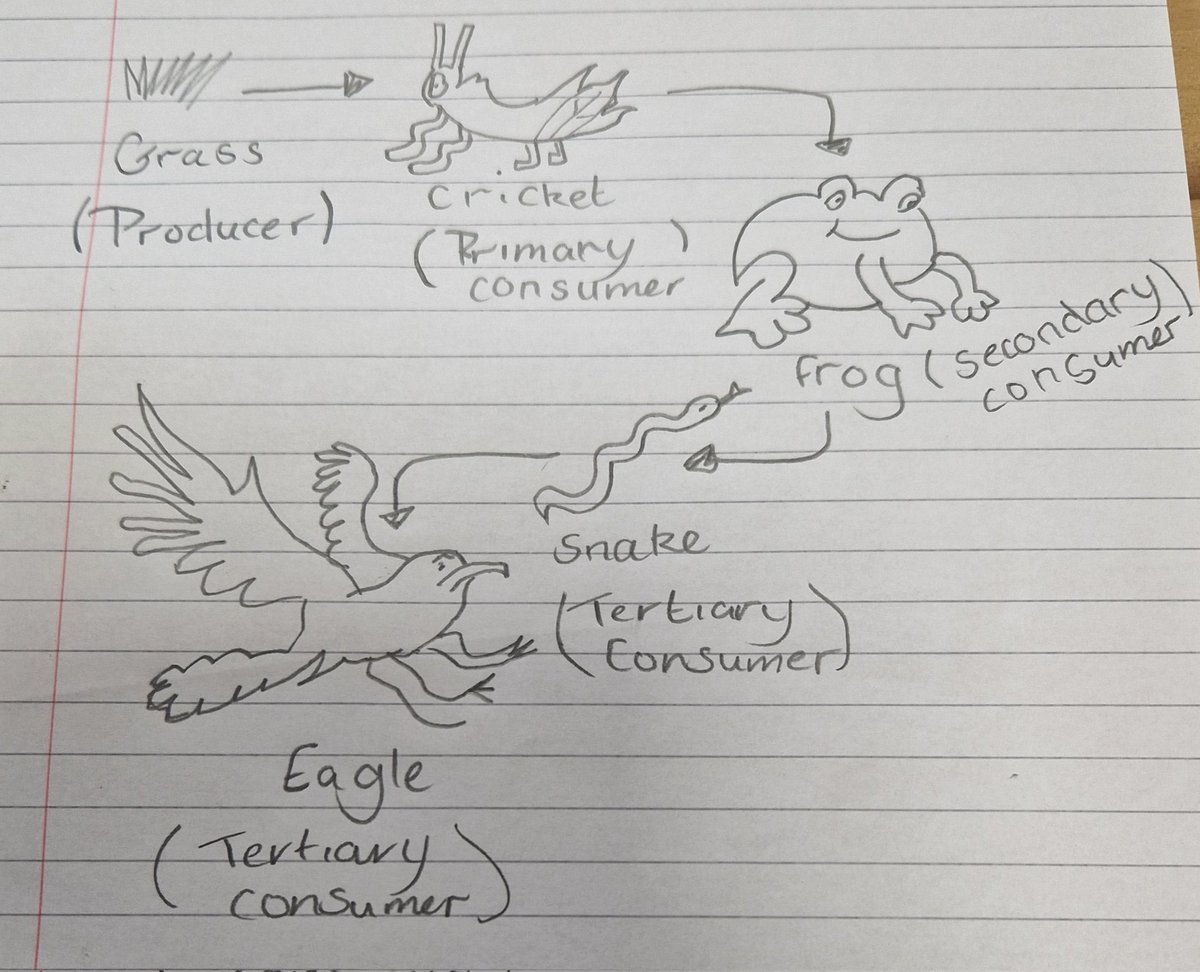 SmithycroftPhys's tweet photo. 2F got really creative with food chains! They used digital or traditional mediums to draw out their ideas π»π¨
#WeLearn #WeAchieve #ScienceIsNurturing https://t.co/OUqAk0ltZU