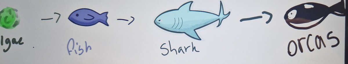 SmithycroftPhys's tweet photo. 2F got really creative with food chains! They used digital or traditional mediums to draw out their ideas π»π¨
#WeLearn #WeAchieve #ScienceIsNurturing https://t.co/OUqAk0ltZU