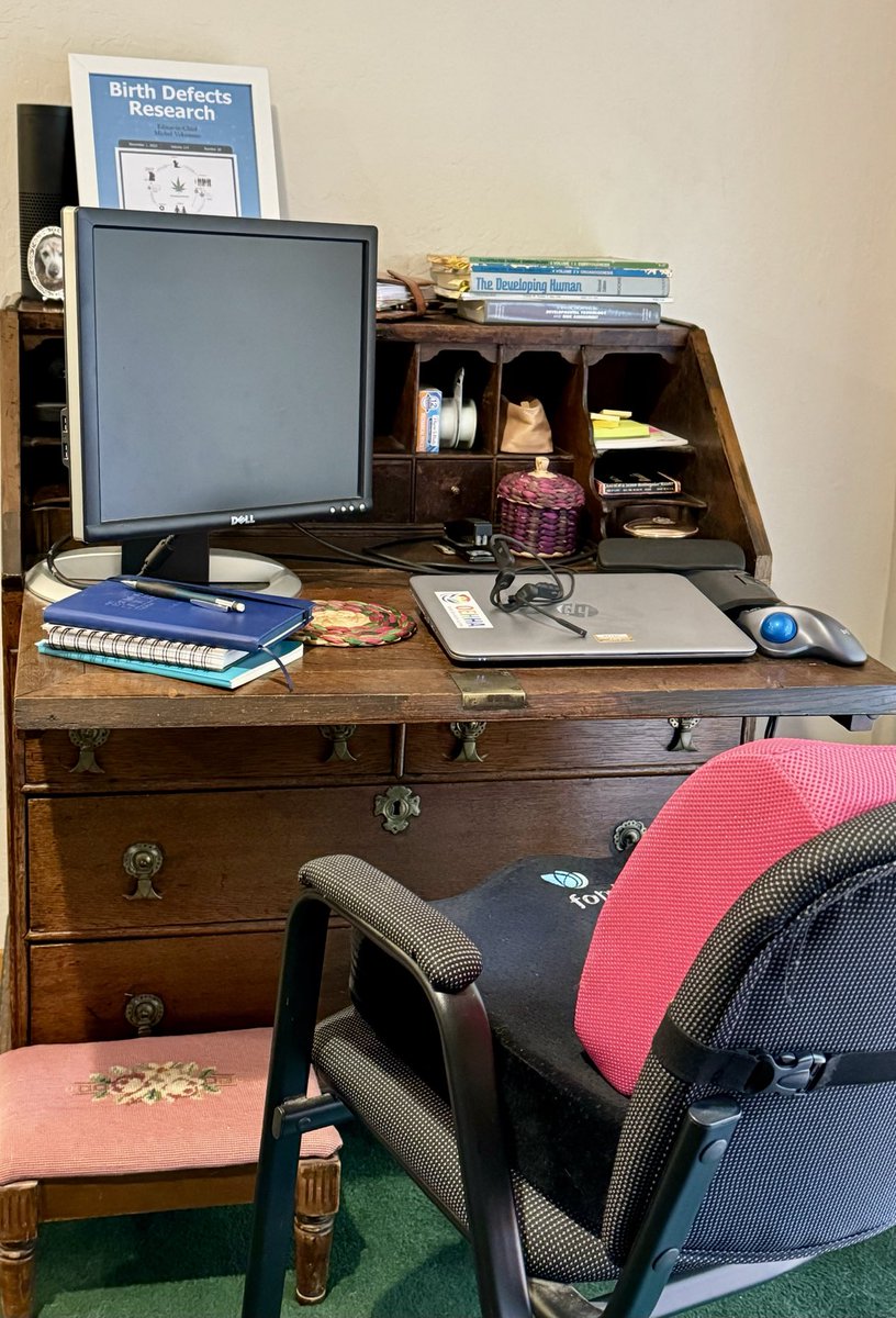 This is my work station in my home office. The computer is shut and the chair empty because I am on strike. #DefianceForScience #EqualPayCA #PayEquity #ValueScientists #CAStateScientists