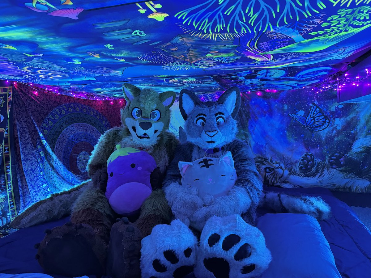 CGeroo's tweet photo. The cat cave has revealed to me that felines are superior and should be worshiped at all waking moments. #FursuitFriday w/@Whiskers_Kitteh #operafurry #furry #fursuit #furryfandom #catflat 📸 @LittleAlphaPup https://t.co/uOVV5uuWyU