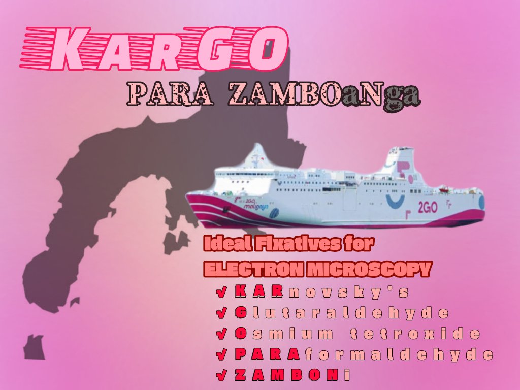 macdump_'s tweet image. 📌📌 𝙄𝘿𝙀𝘼𝙇 𝙁𝙄𝙓𝘼𝙏𝙄𝙑𝙀𝙎 𝙁𝙊𝙍 𝙀𝙇𝙀𝘾𝙏𝙍𝙊𝙉 𝙈𝙄𝘾𝙍𝙊𝙎𝘾𝙊𝙋𝙔

               *𝙆𝙖𝙧𝙂𝙊    𝙋𝘼𝙍𝘼    𝙕𝘼𝙈𝘽𝙊𝙖𝙉𝙜𝙖*

● Karnovsky's
● Glutaraldehyde
● Osmium tetroxide
● Paraformaldehyde
● Zamboni
