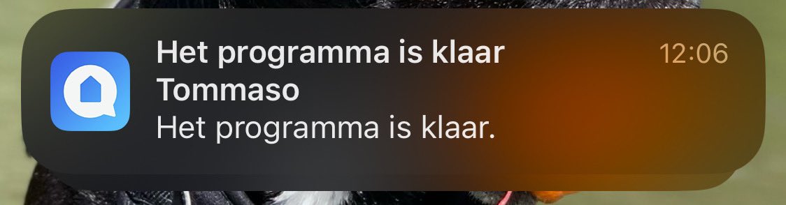DeltaOmicr's tweet photo. @Food4ears Dat doet mijn man.. Ook Tommaso https://t.co/u1Sl8EGV3u