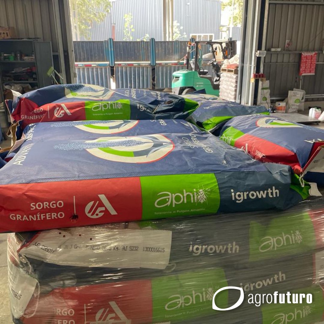 AgrofuturoSA's tweet photo. Agrofuturo inicia entregas de ADV 2550 IGAX, el primer #sorgo granifero del mercado que combina tecnologías #Igrowth de control de malezas y #Aphix de máxima tolerancia al #pulgónamarillo.
Juntos con @advantaseedsarg la vanguardia tecnológica siempre!
#agricultura #agricultor https://t.co/lYoQIJ7vmT