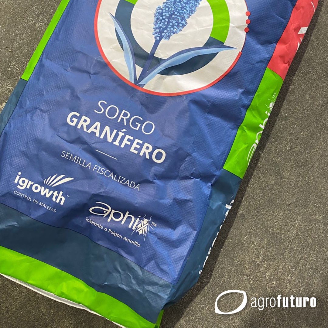 AgrofuturoSA's tweet photo. Agrofuturo inicia entregas de ADV 2550 IGAX, el primer #sorgo granifero del mercado que combina tecnologías #Igrowth de control de malezas y #Aphix de máxima tolerancia al #pulgónamarillo.
Juntos con @advantaseedsarg la vanguardia tecnológica siempre!
#agricultura #agricultor https://t.co/lYoQIJ7vmT