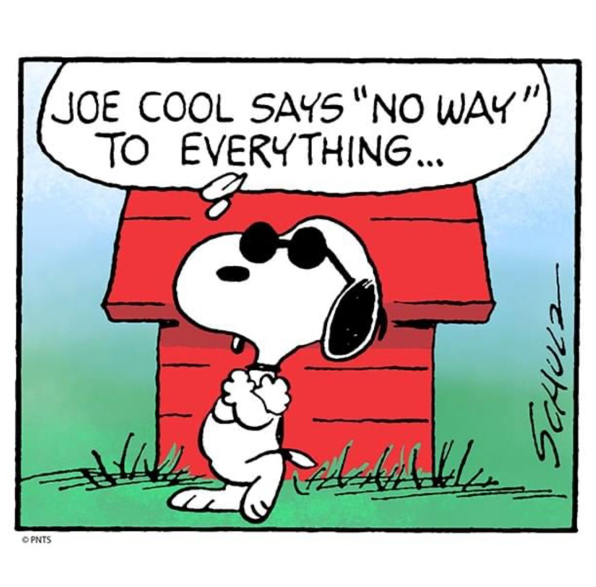 No way 😎 #Peanuts