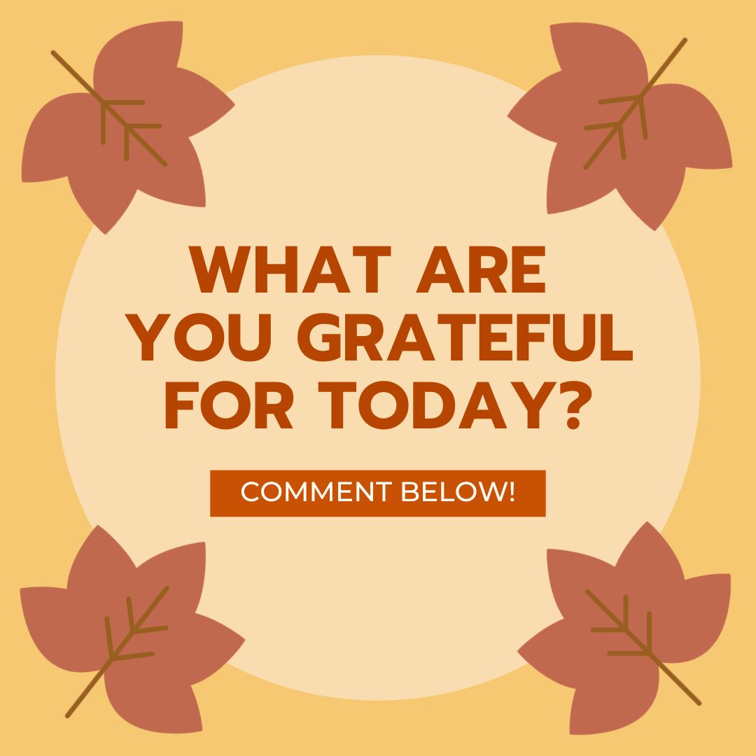 Twirl Planet tweet media