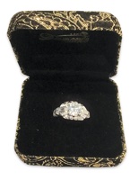 Chinook Observer tweet media