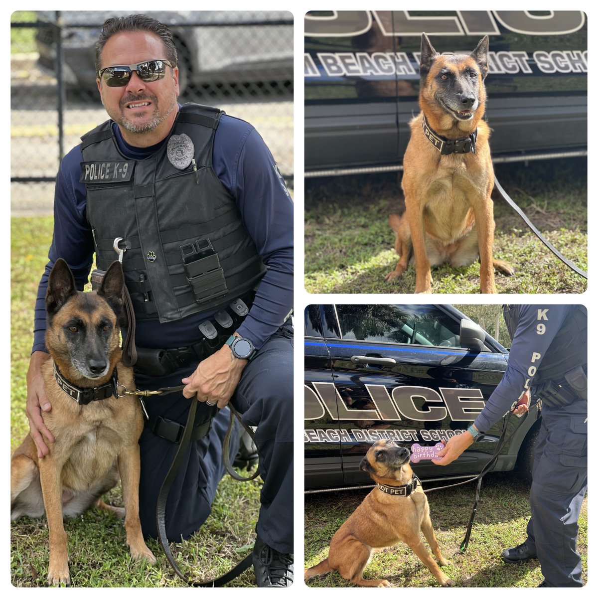 Chief Sarah Mooney tweet media