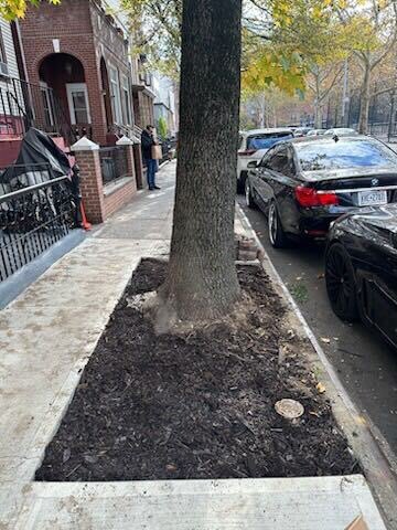 Thank you to the volunteers who joined us in Bed-Stuy to clean out 38 tree beds & help keep our trees healthy! We have two tree care events this weekend - Saturday in Brooklyn Heights & Sunday in North Williamsburg- sign up for both here! bit.ly/d33treecare