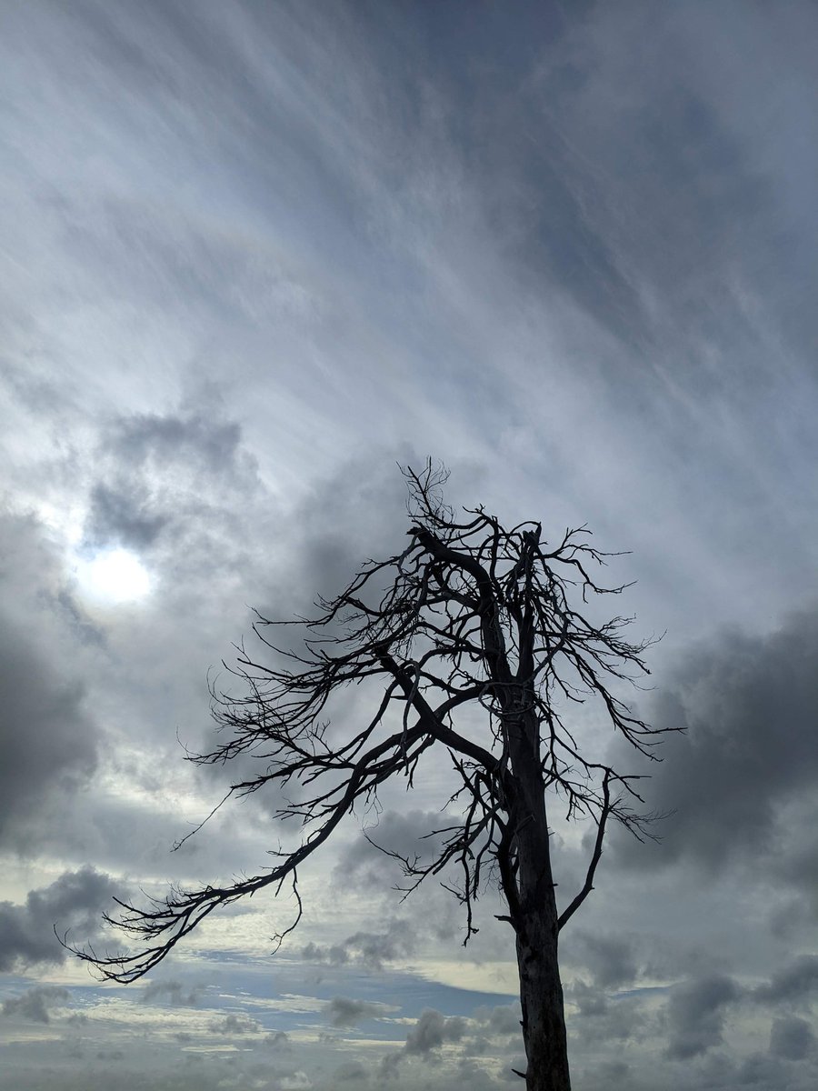 nenmden's tweet photo. @sglaisteryoung I'm clearly good at finding piles of twigs left by witches...or is it me making them? 🤔👹 Also, totally stealing your photos for painting references 😜 https://t.co/Wmk1aNZ0VF