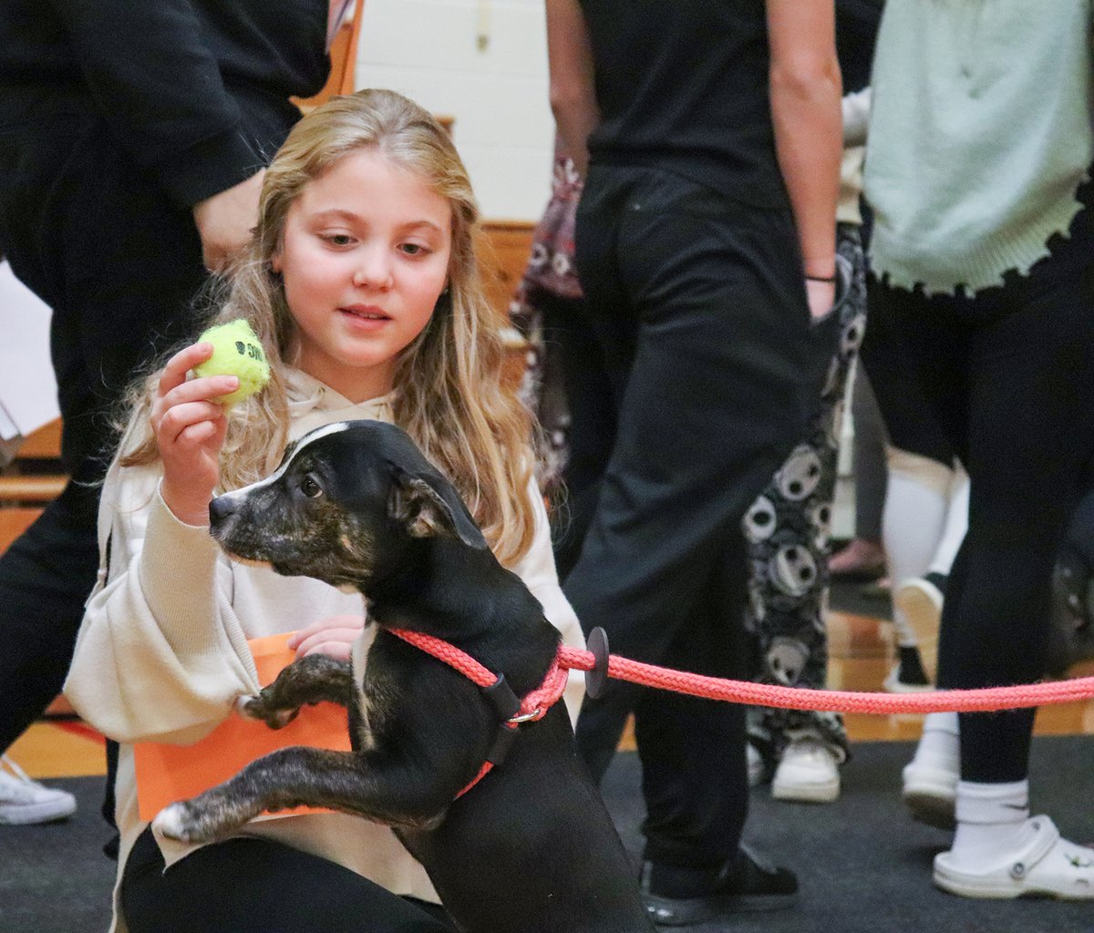 Phoenix CSD tweet media